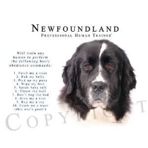  Newfoundland Landseer Human Trainer Mouse Pad Dog 