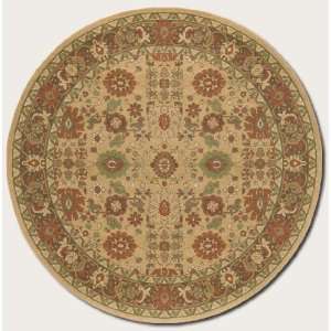  Pera All Over Mashhad Rug (Size 7.10x7.10)