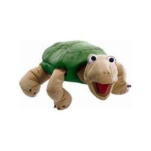  Kooky Kreatures Turtle   Norton Toys & Games