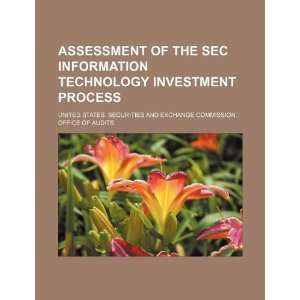  Assessment of the SEC information technology investment 