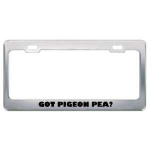 Got Pigeon Pea? Eat Drink Food Metal License Plate Frame Holder Border 