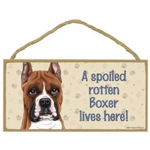  A Spoiled Rotten Boxer (Cropped Ears) Lives Here   5 X 10 