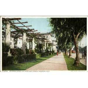 Reprint Pasadena CA   Colorado Street and Maryland Pergola 1900 1909 