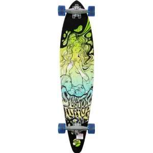 Sector 9 Fanatic Pin Tail 40.0 Longboard Complete  Sports 