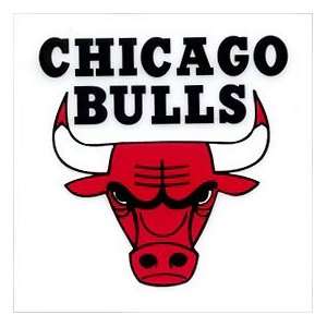  Chicago Bulls Static Cling Sticker