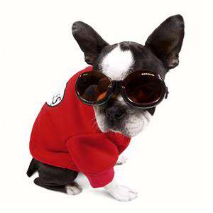 Doggles ILS Black Dog Goggles Sunglasses UV 5 sizes  