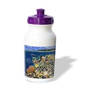   coral reef environment, Marshall Islands, Micronesia   Water Bottles