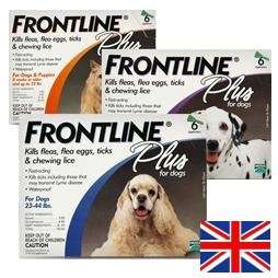 Frontline Plus for Cats and Kittens ~~ 6 month supply  