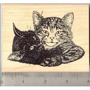  Kittens Cuddling Rubber Stamp featuring Black Cat and Tabby Cat 