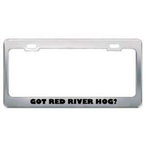  Red River Hog? Animals Pets Metal License Plate Frame Holder Border 