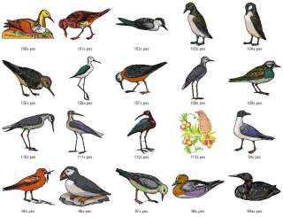 BIRDS VOL. 11 (4x4 & 5x7 Hoop Sizes)