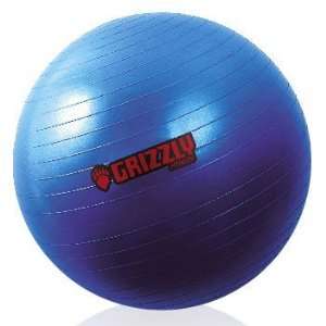   8102 27 29.5 Anti Burst Training Ball  Pack of 6
