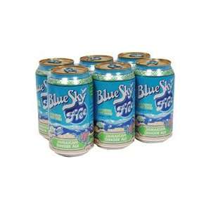Blue Sky, Jamaican Ginger Ale Calorie Free Soda, 4/6/12 Oz  