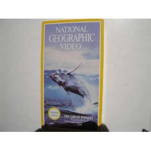  National Geographic Video The Great Whales Movies & TV