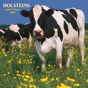  Holsteins 2007 Calendar (9781421604527) Browntrout 