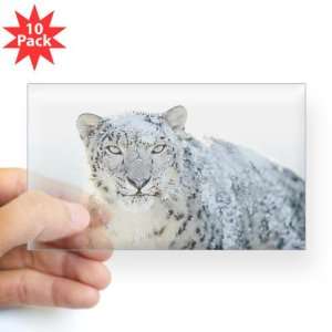  Sticker Clear (Rectangle 10Pk) Snow Leopard HD Apple 