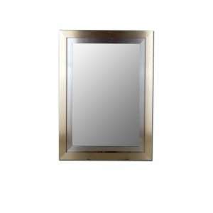  2nd Look Mirrors 204900 29x39 Champagne   Stainless Mirror 