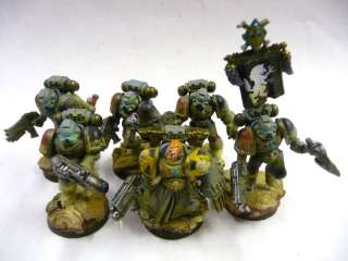   40k Forgeworld Marines SPACE WOLVES ARMY  well/pro painted  