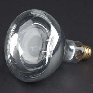  250 Watt Clear Heat Lamp Light Bulb