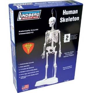  Wild Republic Science Kit Human Skeleton Toys & Games