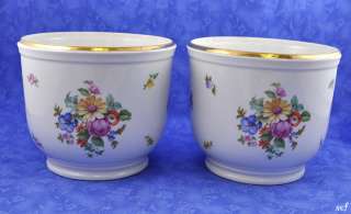 German Porcelain Floral Gilded Cachepots Planters  