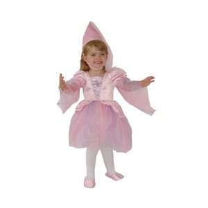  Pink Little Princess Dress Costume Girls Size 2T Toys & Games