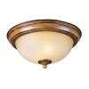   Downlight Chandelier Lighting Fixture Golden Bronze, Ivory Art Glass