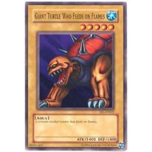  Yu Gi Oh   Giant Turtle Who Feeds on Flames   Spell Ruler 