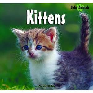  Kittens (Baby Animals) (9781404241442) Alice Twine Books