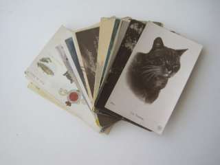 22 Vintage English Color Postcards Cats, Dogs, + Birds  