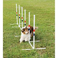 Weave Poles Dog Exercise Set  