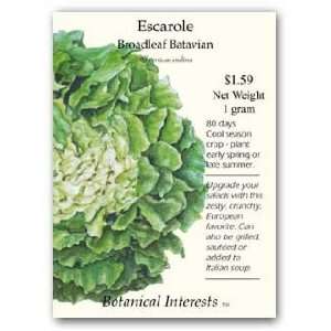  Escarole Broadleaf Batavian Seed Patio, Lawn & Garden