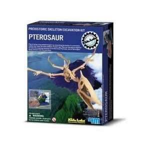  Pterosaur Excavation Kit Toys & Games