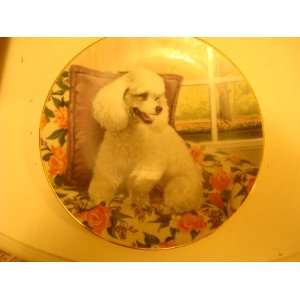    White Poodle the Hamilton Collection Plate 
