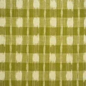  Indra Check 3 by Lee Jofa Fabric