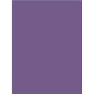   Paper, 18 x 24 Inches, Purple, Pack of 50 (103083)