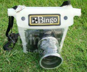Underwater Waterproof Housing Case for Canon SX10IS  