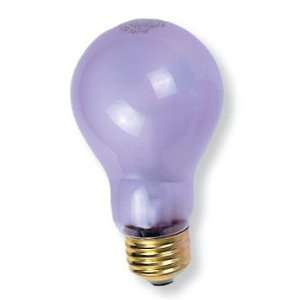  20,000 Hour Natural Daylight Bulb, 100