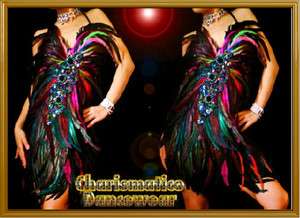 Rainbow Feather SAMBA SALSA BURLESQUE DIVA dance dress  
