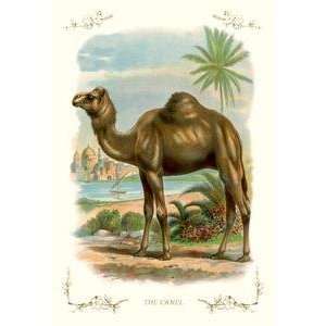  Vintage Art Camel   11206 9