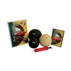 FitBALL Body Therapy Set (1 Each 5,6,7 Ball, Manual, DVD & Pump 
