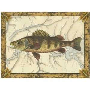  Yellow Perch On Map Poster Print
