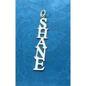  Personalized 925 Silver Any VERTICAL Name Necklace Shane 