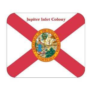  US State Flag   Jupiter Inlet Colony, Florida (FL) Mouse 