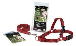 Premier Pet Reflective Easy Walk Dog Harnesses W/Leash  