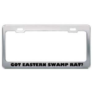 Got Eastern Swamp Rat? Animals Pets Metal License Plate Frame Holder 