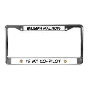  Co pilot Belgian Malinois Pets License Plate Frame by 