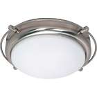   Light   14 inch   Flush Mount   w/ Satin Frosted Glass Shades