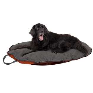 Dog Whisperer Folding Travel Dog Bed   Size Medium For Dog up to 45 