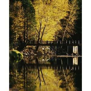  Autumn Foliage with Footbridge, 16 x 20 Poster Print